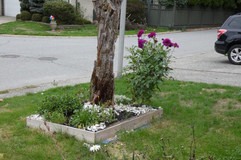 Flower bed Oct 2021 b