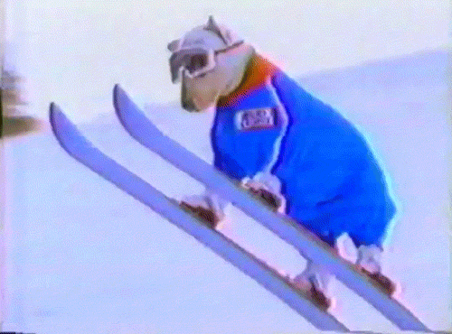 Dog skiing