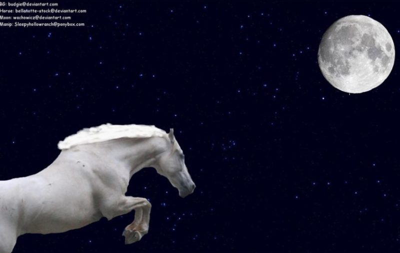 Mustang starry night