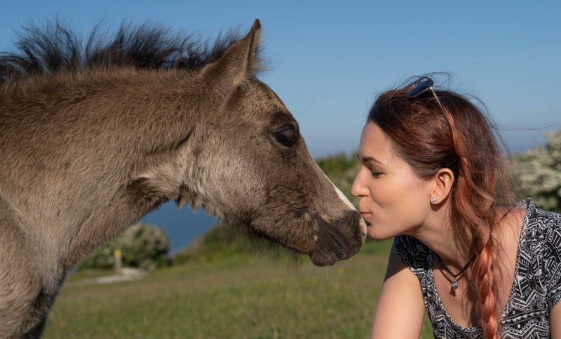 Lisa kissing baby horse