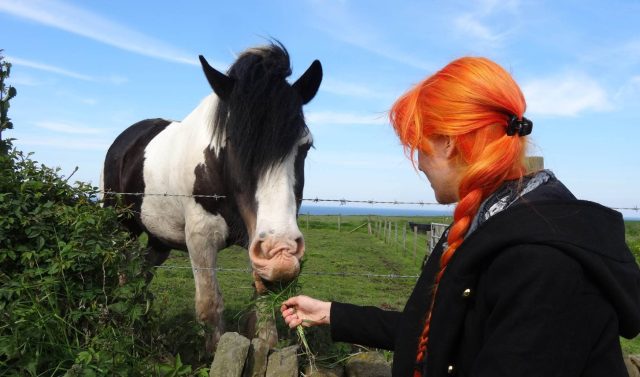 Lisa feeding horse