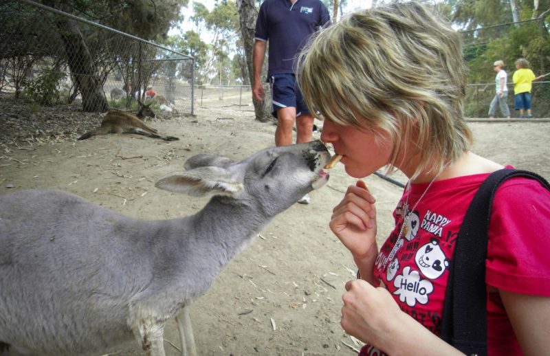 Mona and Kangaroo