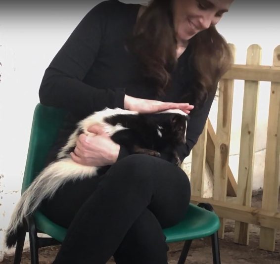 Michaela and skunk
