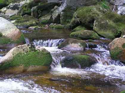 9y97m1bv7rb70v10lx91tvc3urrntffw