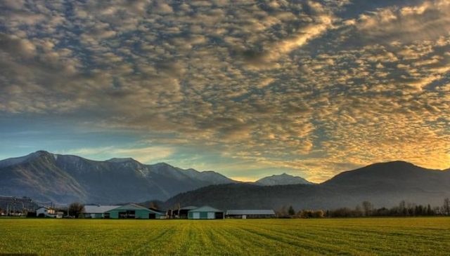Chilliwack farmland