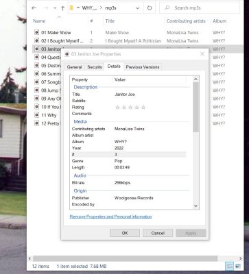 Janitor joe screenshot file