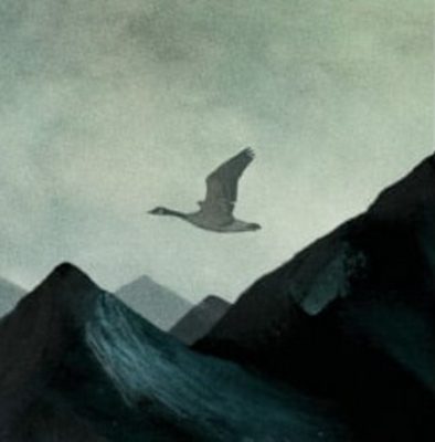 Neve on album cover enlarged