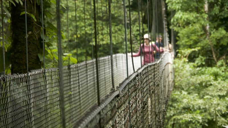 Costa Rica_Hängebrücke 8