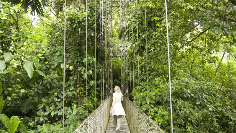Costa Rica Hängebrücke_3
