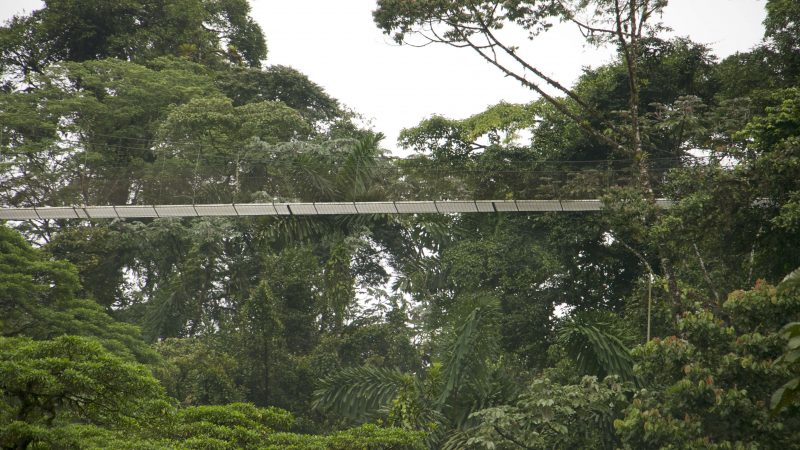Costa Rica Brücke_2