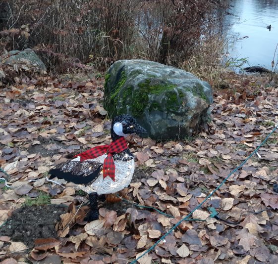 Christmas Canada Goose 1