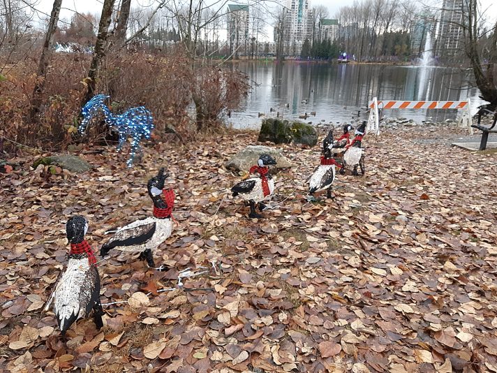 Christmas Canada Goose 2