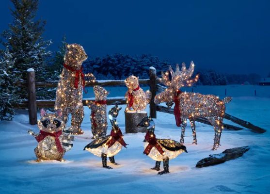 Merry Christmas from Canada