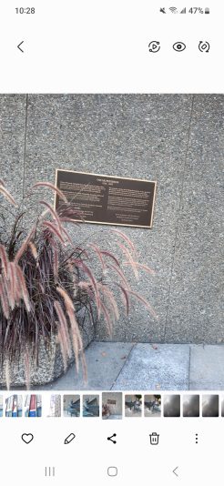 Screenshot_20230321_222847_Gallery