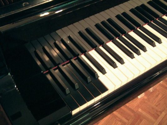 Bosendorfer-extra-keys-