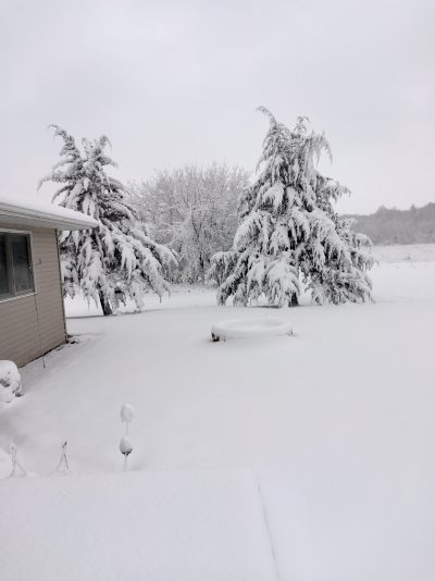 IMG_20230325_065238_HDR