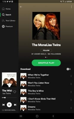 Screenshot_20210220-131645_Spotify