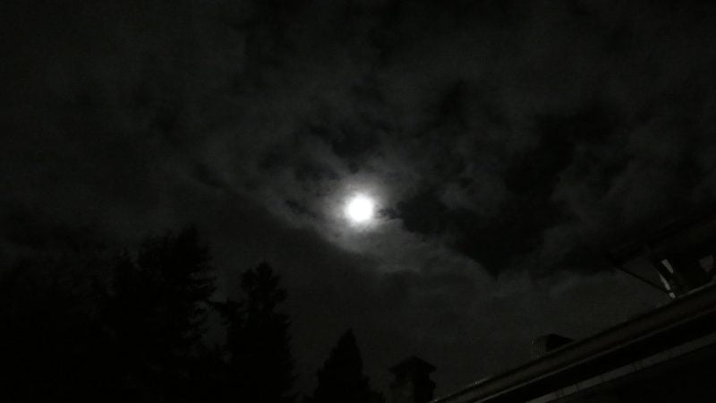 Full Mon Feb 25 2021 1