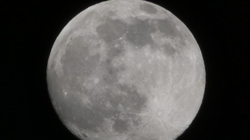 Full Mon Feb 25 2021 4