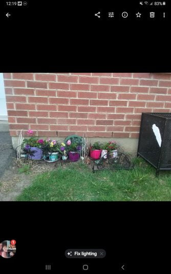 Screenshot_20210404-121950_Photos