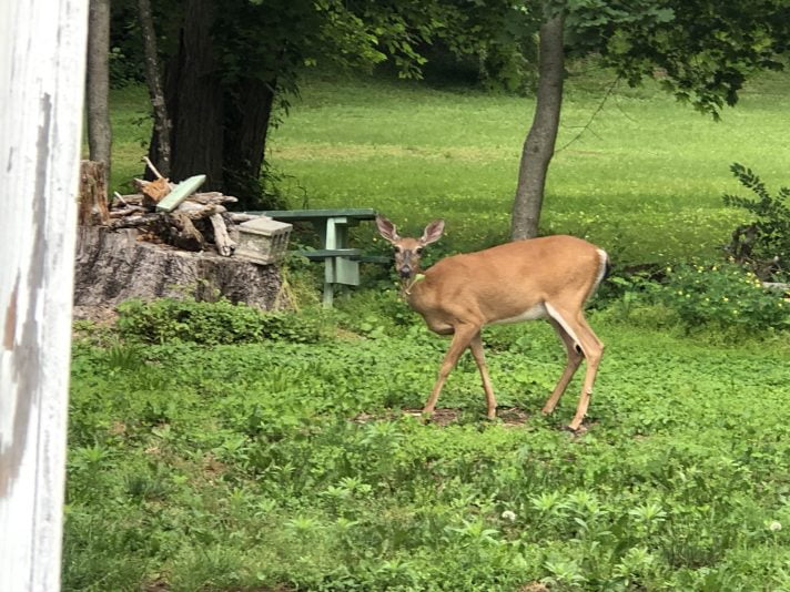 8803B99B-7E79-4AF5-AC71-AD043C57E5AC