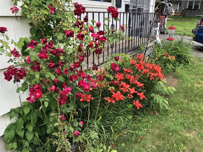 3FFE345D-A4DA-4D46-B3E1-F289112C0693