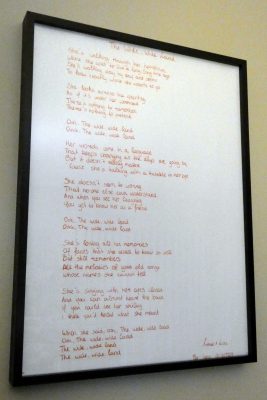 The Wide, Wide Land lyrics2
