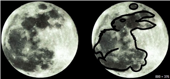 Moon rabbit