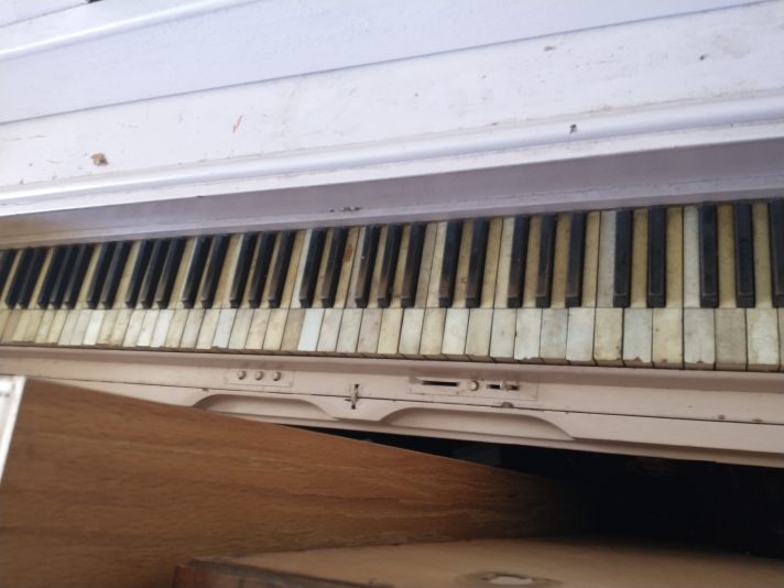 IMG_20231101_120511309