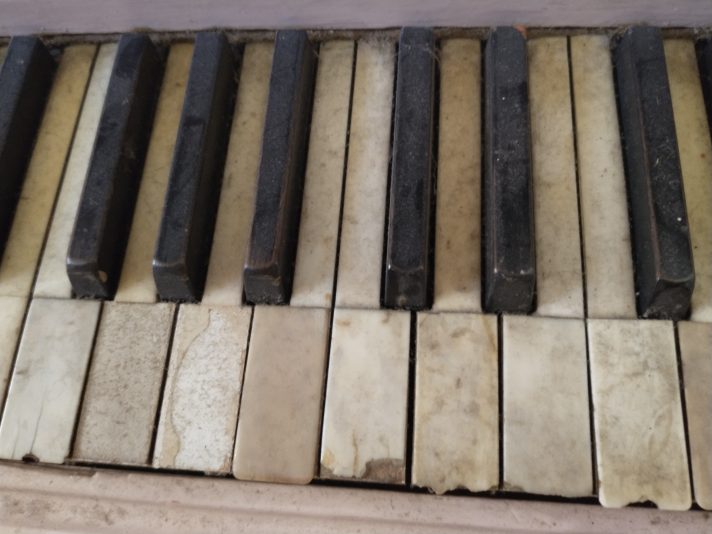 IMG_20231101_120433686