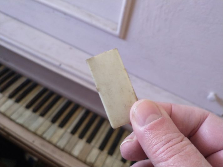 IMG_20231101_120458433_MP