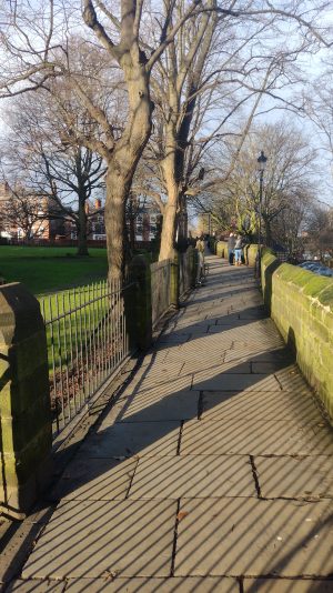 IMG_20231209_132727383