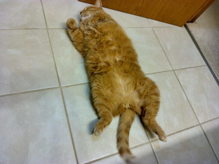 IMG_20230216_054425_HDR