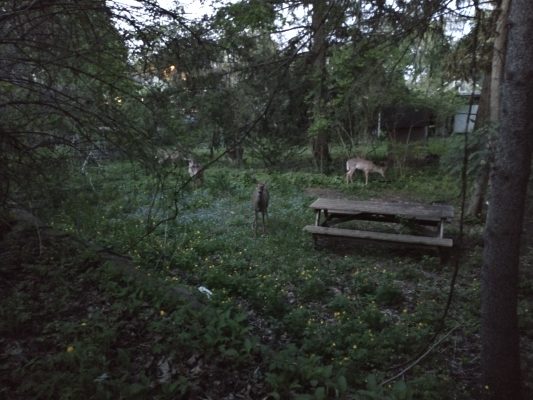 IMG_20230507_210033116