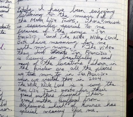 Journal entry MLT The Wide Wide Land 2017