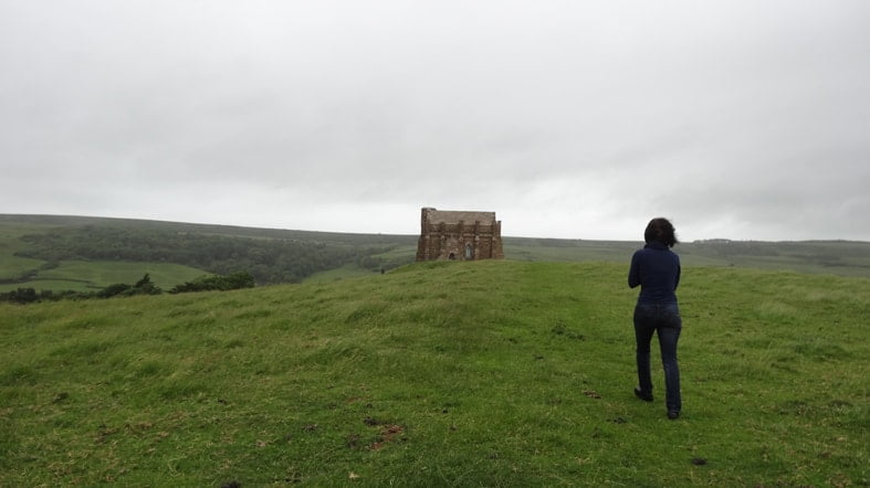 birds_bts_chapel_hill_787