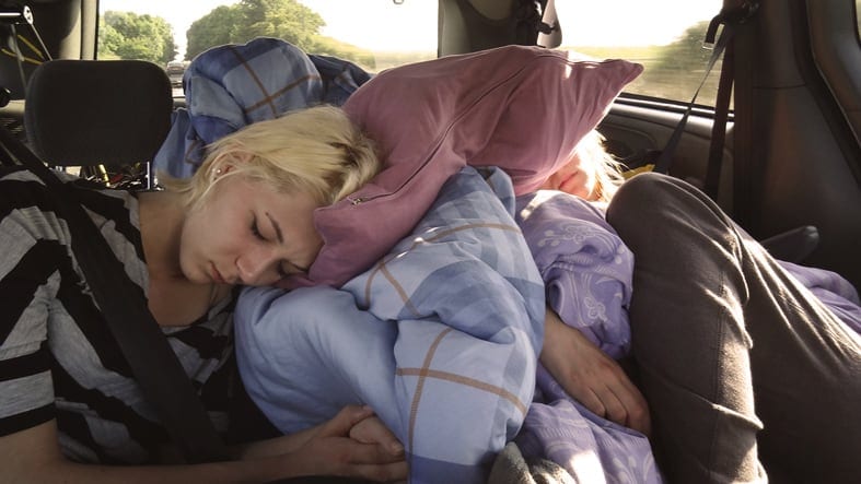 hinfahrt-birds-twitter_787