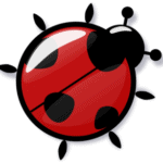 Profile photo of Kenneth Plasa