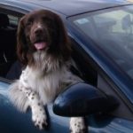 Profile photo of George Henderson