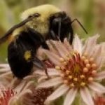 Profile photo of Trent Petty