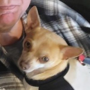 Profile photo of Daniel Muckle