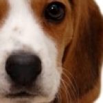 Profile photo of Christopher Oliver