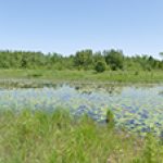 Profile photo of Donald Holmna