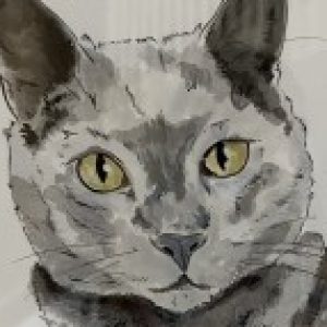 Profile photo of Diane Kraft