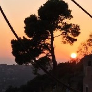 Profile photo of JET