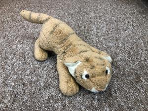 04C3E128-0E7F-49F7-AAF9-A1A41EEF44B4